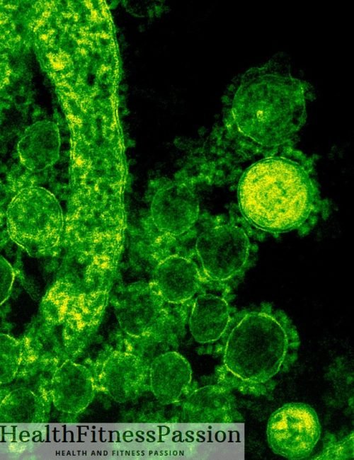 Yeast Infections: Causes, Symptoms, Home Remedies, and Treatment